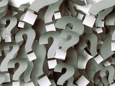 Quiz about The 2261st Mixed General Trivia Quiz