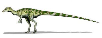 Dinosaurs: Australian Dinosaurs