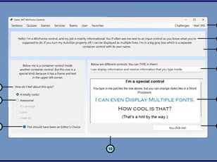 Software and Programming: Windows Controls