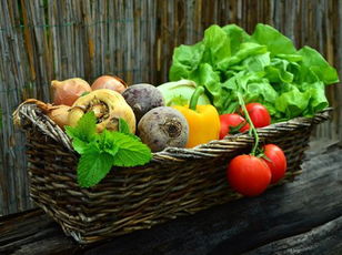 Kids Scrambles  Vegetables