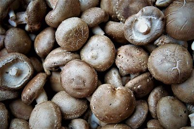 Vegetable Mixture: Multifaceted Marvelous Mushrooms
