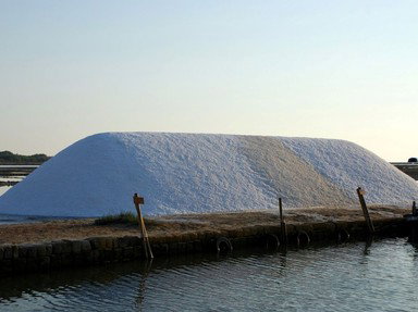 Quiz about Worth Their Salt