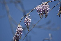 photo quiz