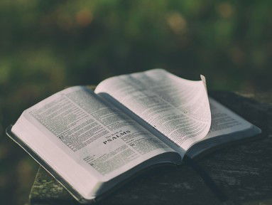Quiz about Hallelujah
