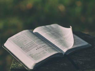  Psalms: Hallelujah