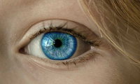 photo quiz