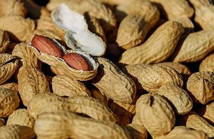 Nuts: Warning May Contain Nuts
