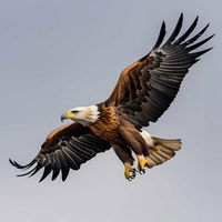 photo quiz