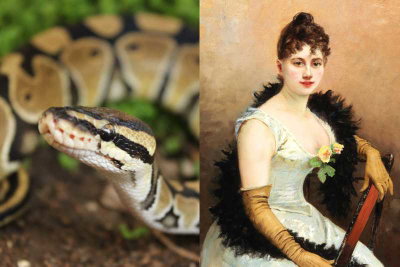 photo quiz