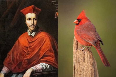 photo quiz
