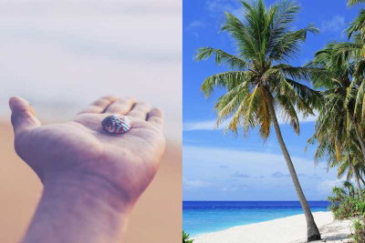 photo quiz