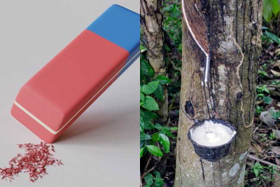 photo quiz