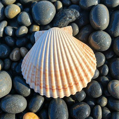 photo quiz