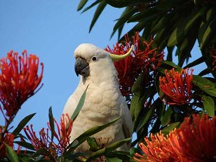 Place Names: Australian Place Names What Do They Mean