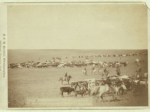 Classic Theme Songs: Classic Western Theme Songs