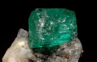 photo quiz