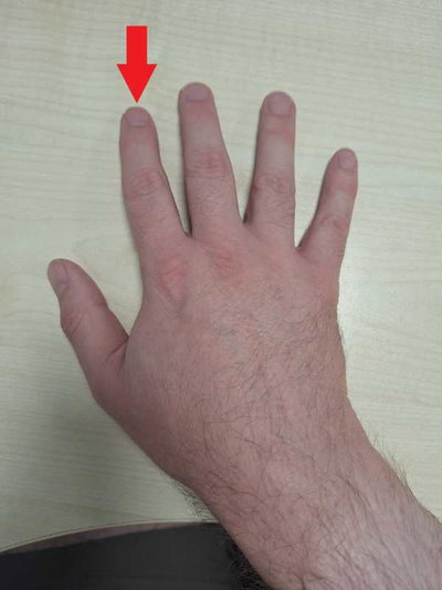 photo quiz