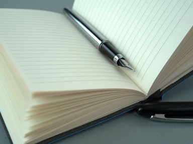 Quiz about Elinor Writes a Book