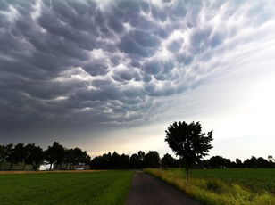 Kids Scrambles  Weather Words