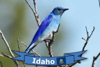 photo quiz