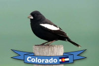 photo quiz