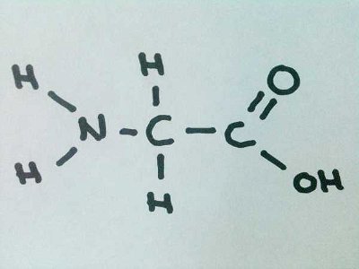 Amino Acid Structures 