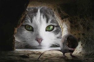 Thematic Cats: Cat and Mouse