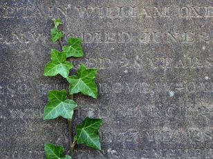 Poetry by Theme: Elegy for the End