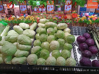 Quiz about Cabbage Varieties