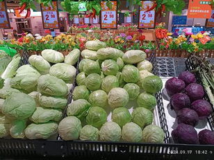 Vegetable Mixture: Cabbage Varieties