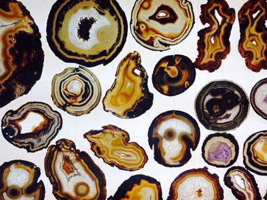 Quiz about Mohs Likely to Succeed