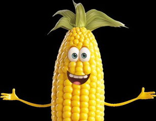 Kalibres Cornucopia of Confusion