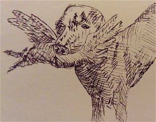 Related Words: Animal Etymology