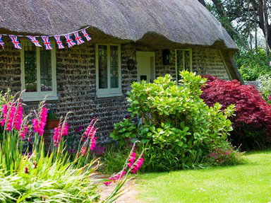 Quiz about Botanica Britannica