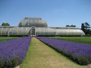 Gardens: Where Does Your Garden Grow