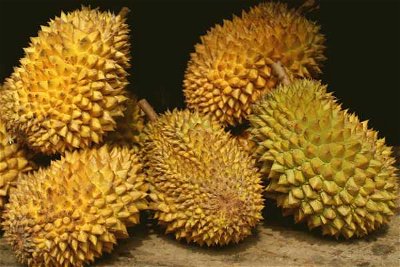Dare You Dissect a Durian