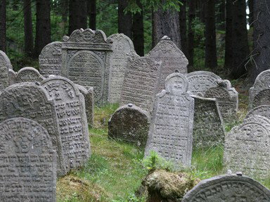 Quiz about Epitaph Tour of the World