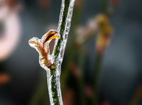 photo quiz