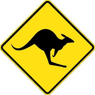 Kangaroos Crossing