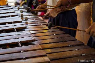 Xylophones and Other Strange Music Makers