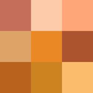 Colours Photo Quizzes: Ten Shades of Orange