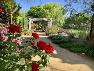 Vegetation in Songs: I Never Promised You a Rose Garden