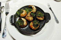 photo quiz