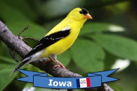 photo quiz